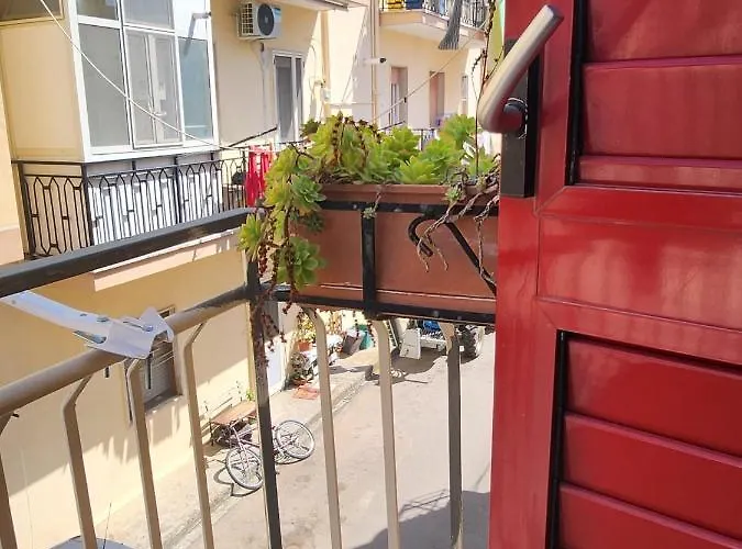 Il Pizzuto - Da Nonno Dino *